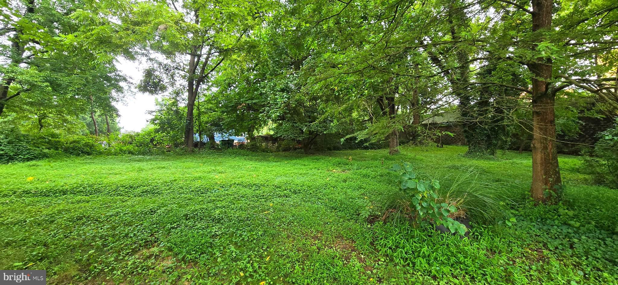 210 BUCKLER ROAD