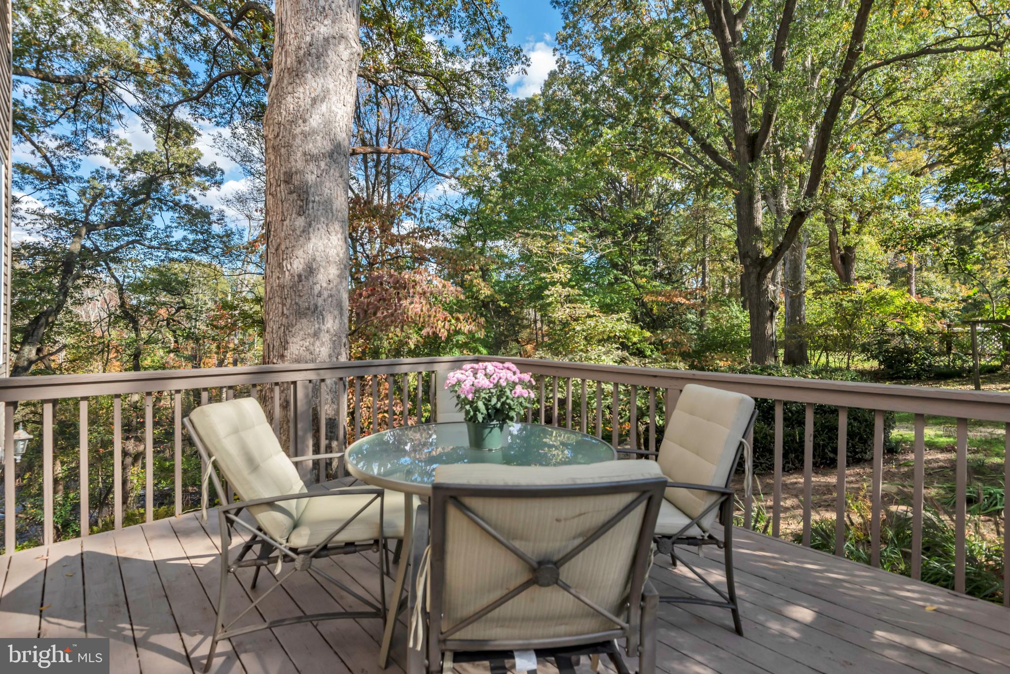 CHESTER HARBOR - Residential