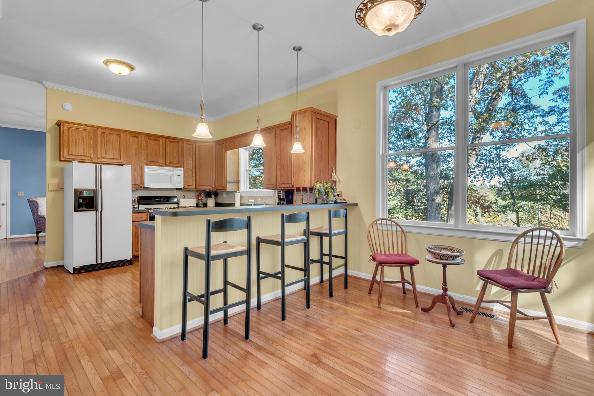 CHESTER HARBOR - Residential