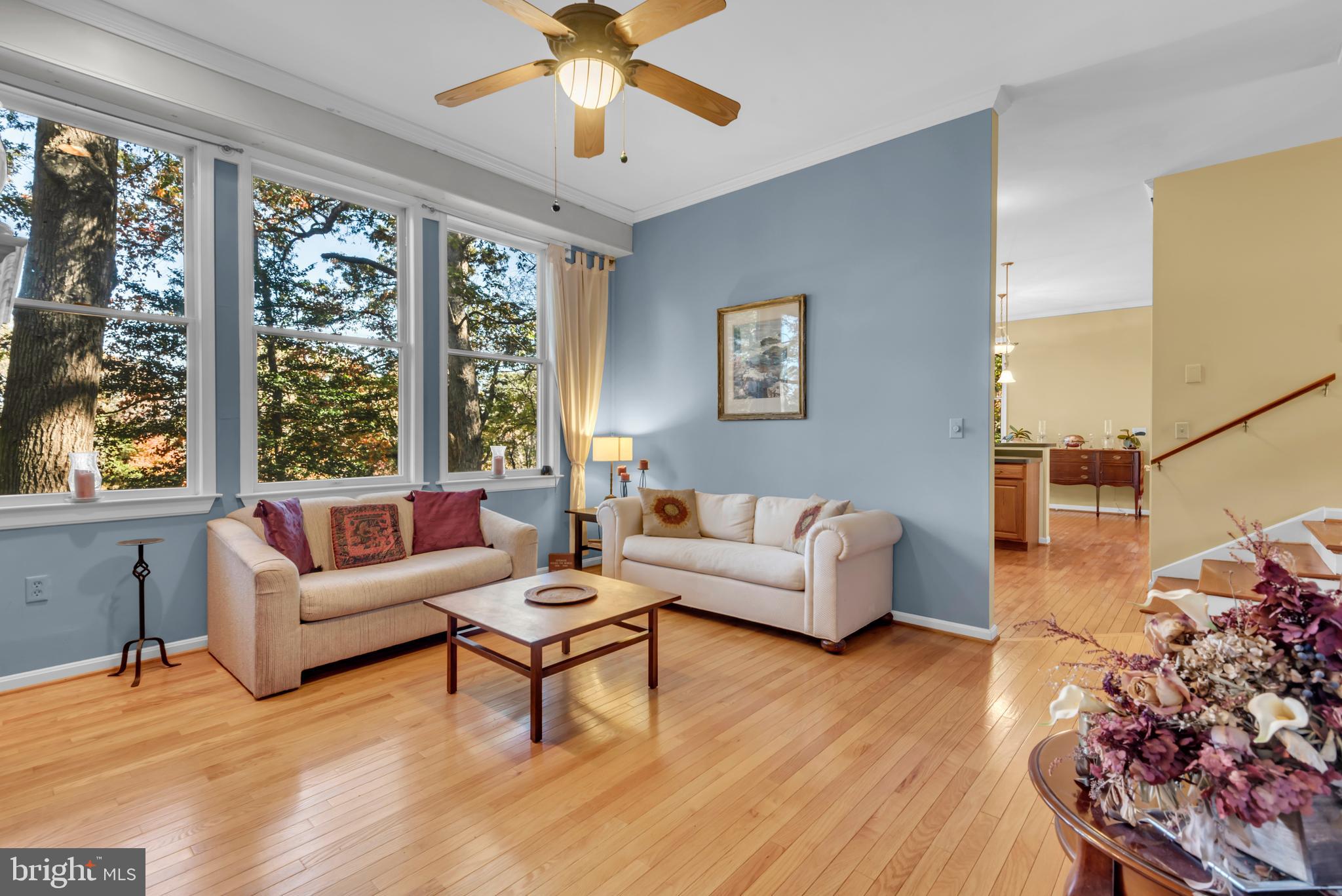 CHESTER HARBOR - Residential