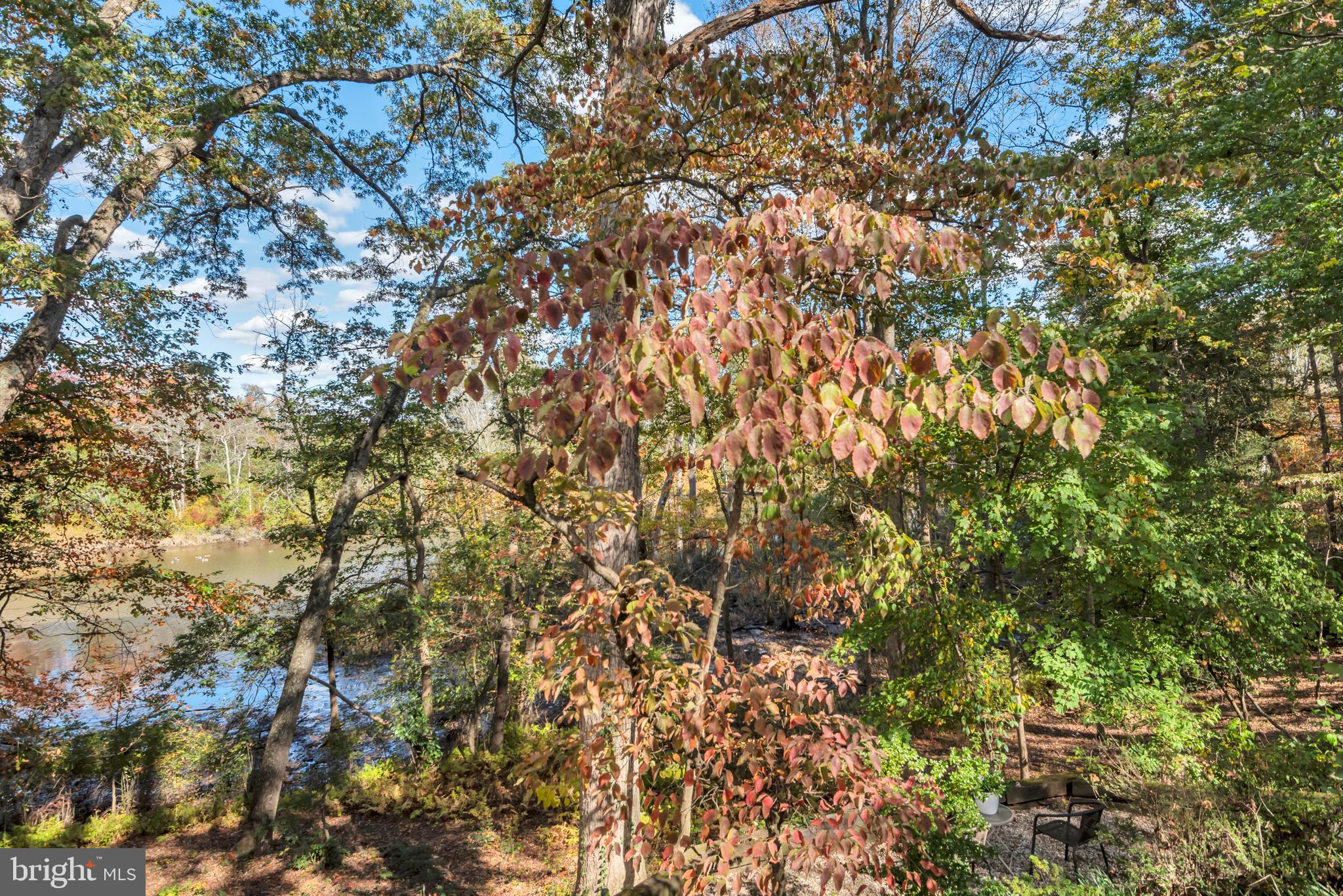 CHESTER HARBOR - Residential