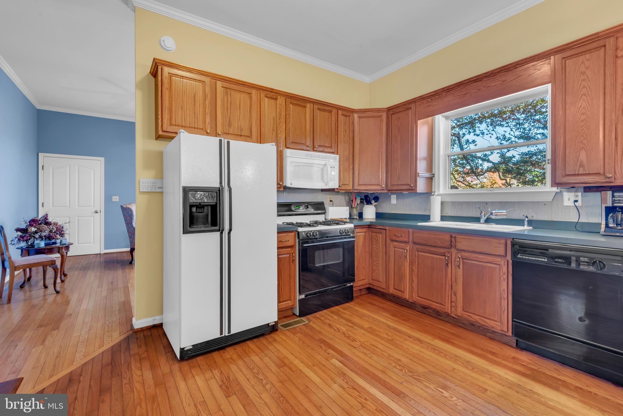 CHESTER HARBOR - Residential