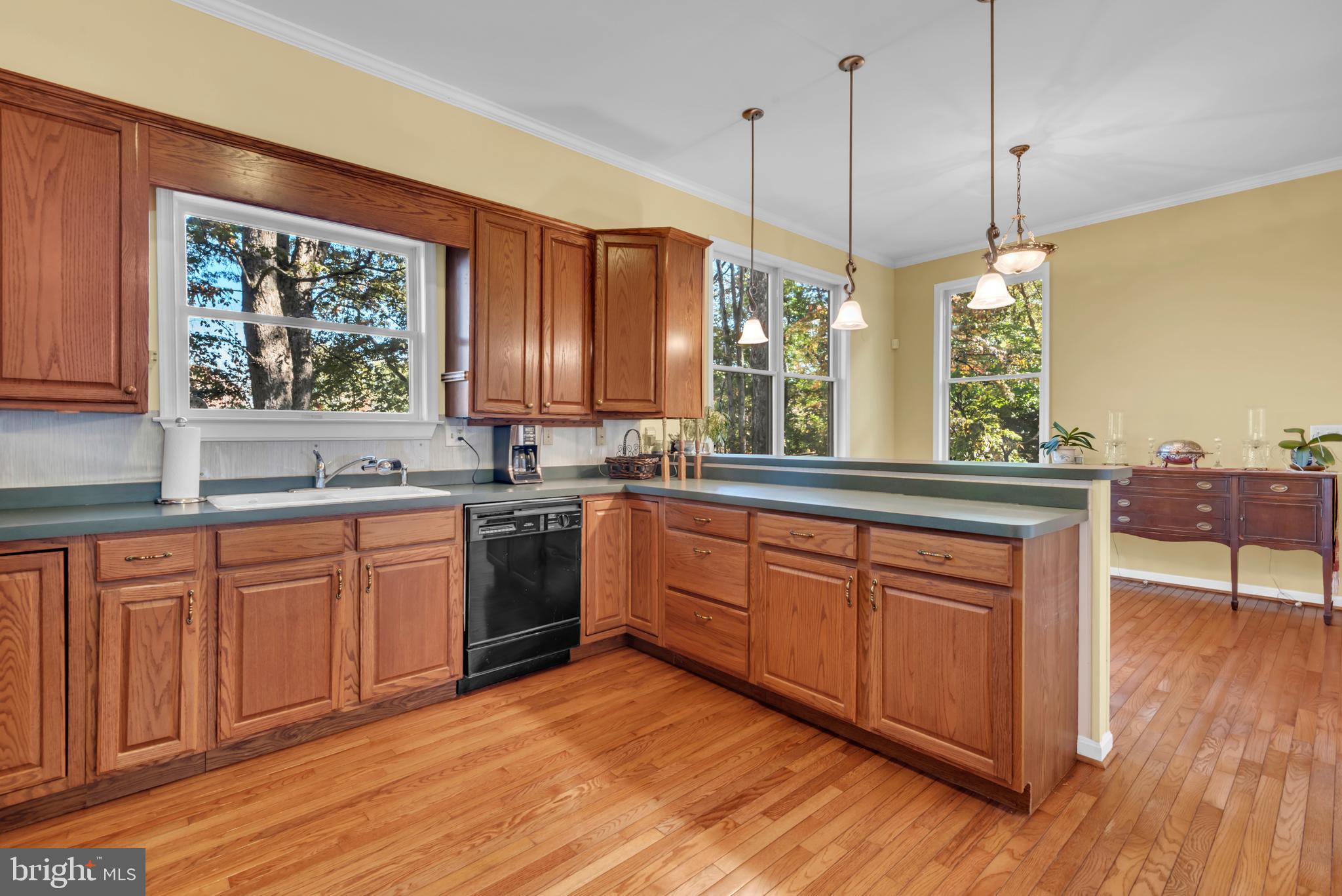 CHESTER HARBOR - Residential