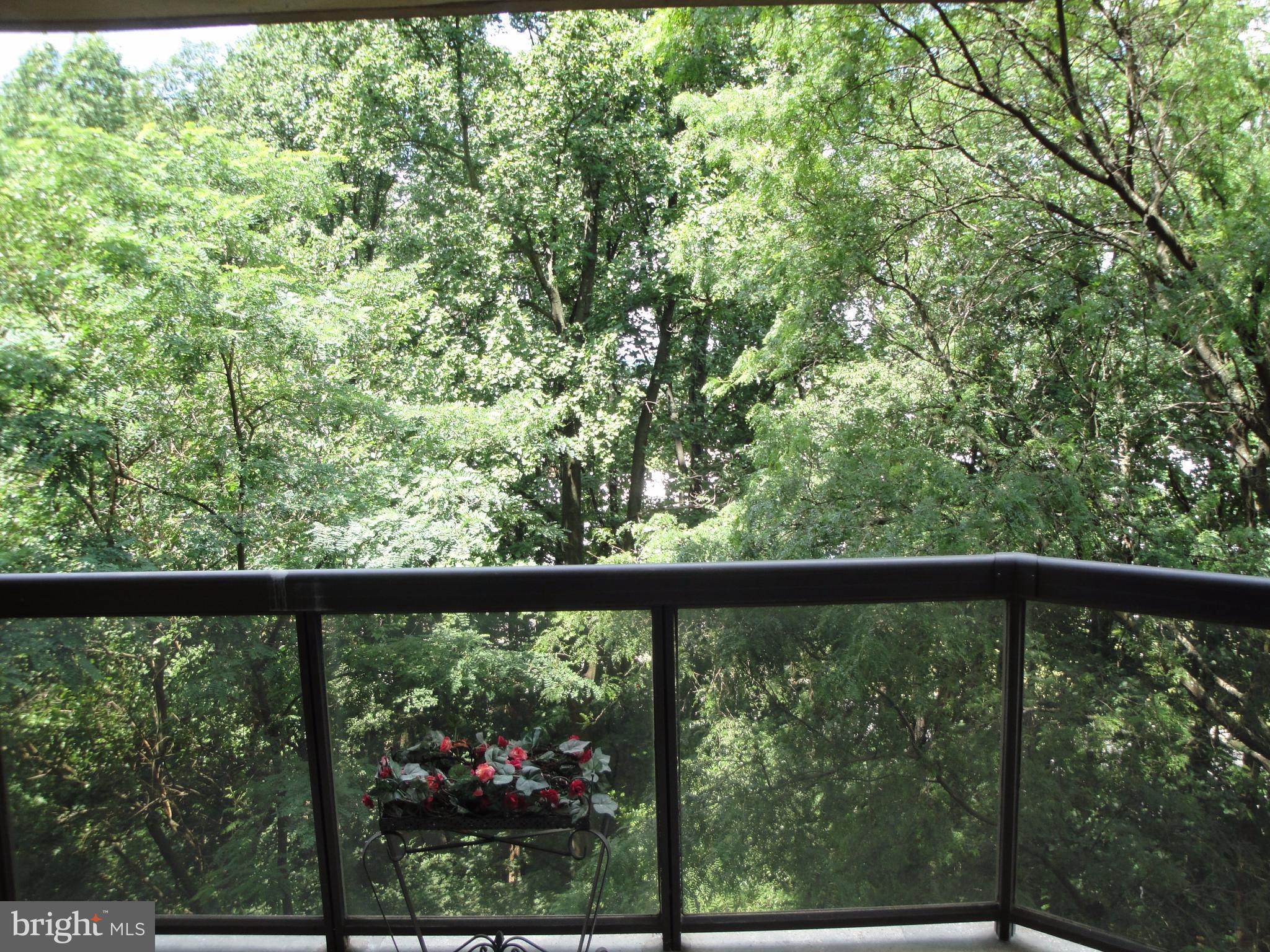 ROTONDA - Residential