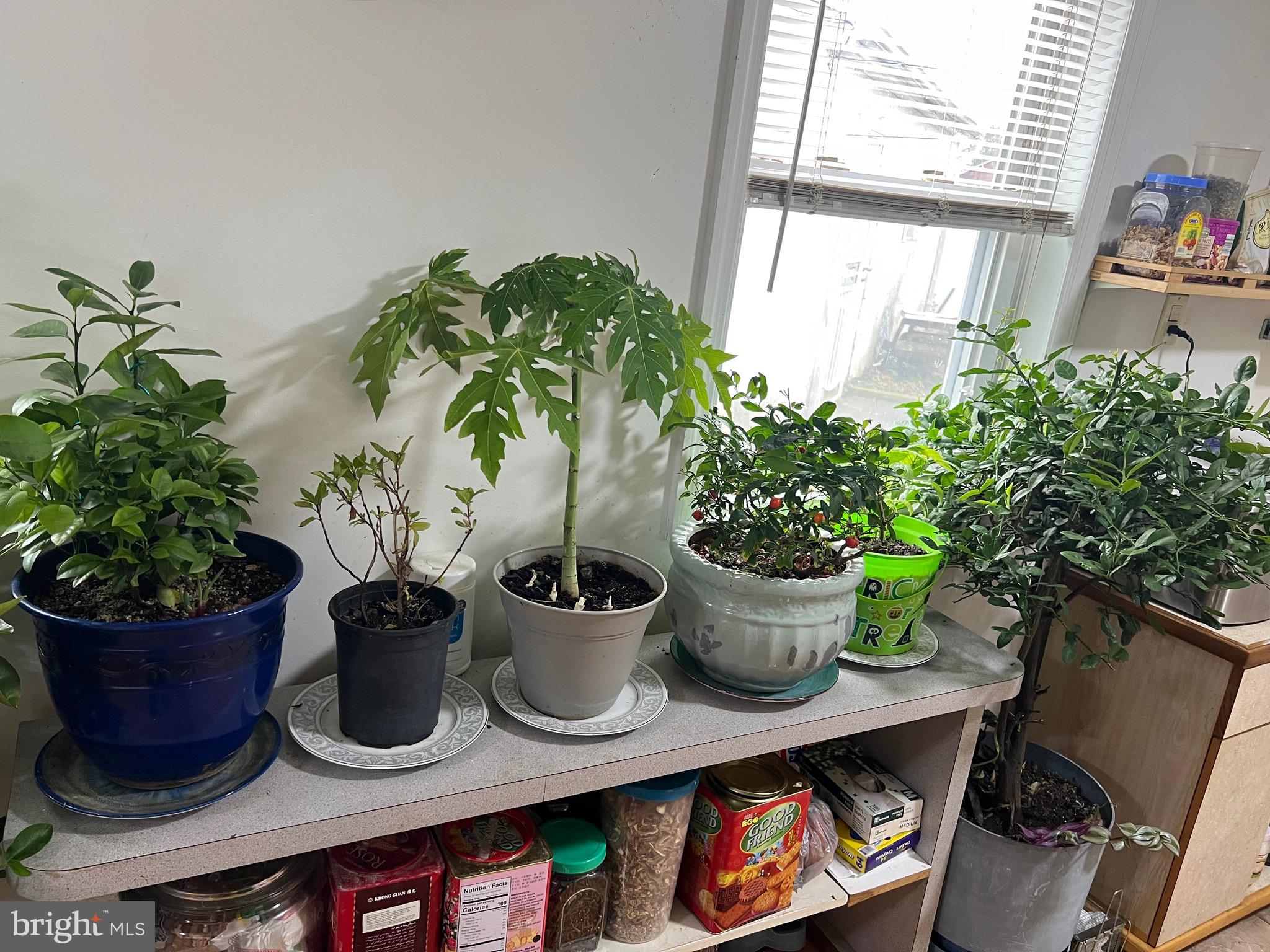 BRISTOL - Residential