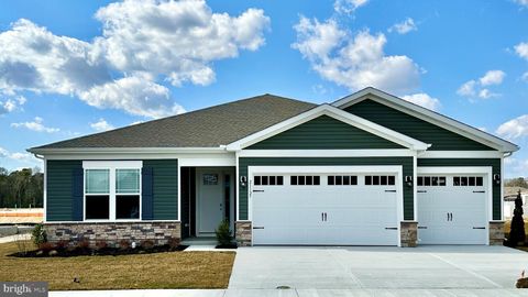 34010 SKYFLOWER LOOP LEWES DE 19958