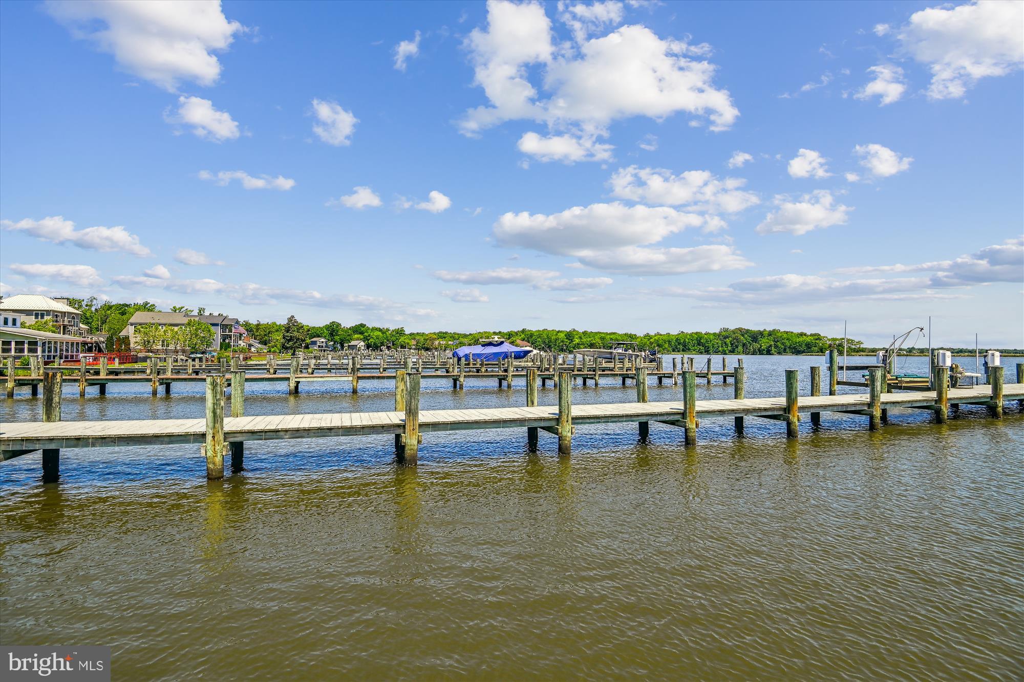SELBY ON THE BAY - Residential