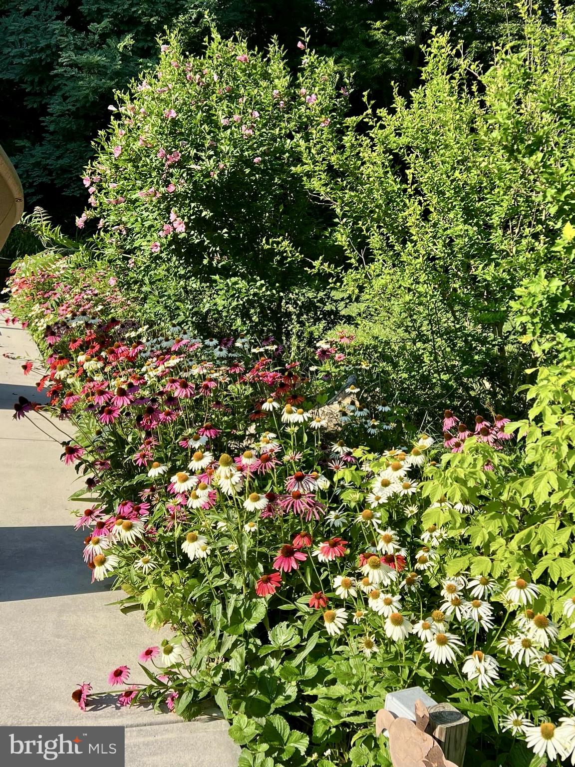 SPRING MEADOWS - Residential