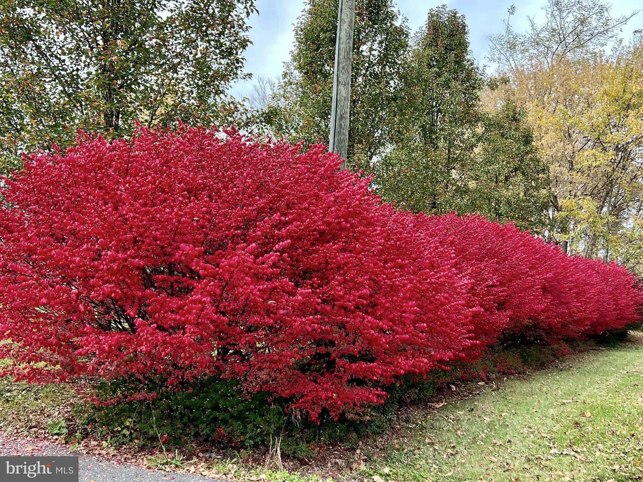 SPRING MEADOWS - Residential