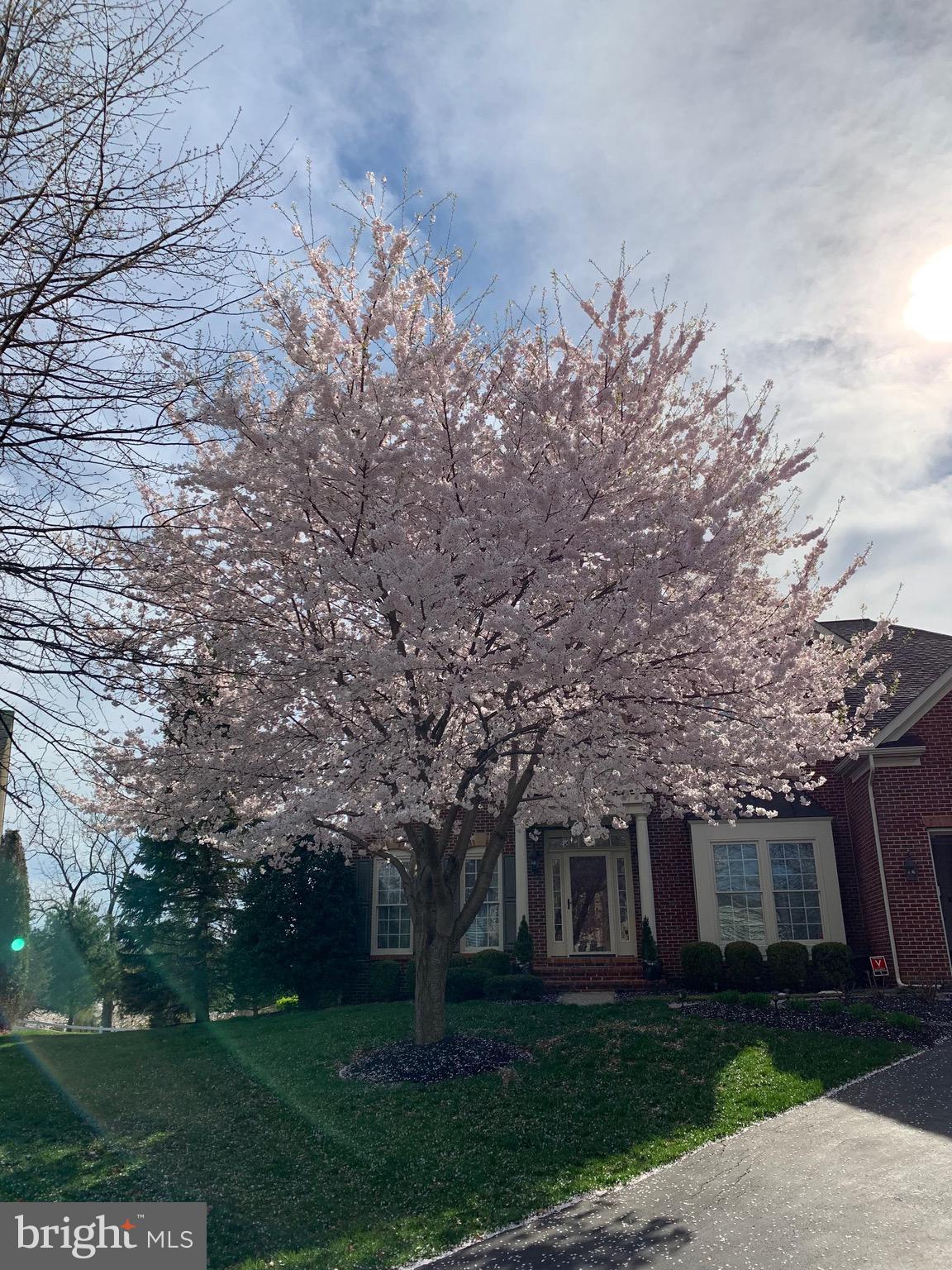 GLENBROOK - Residential