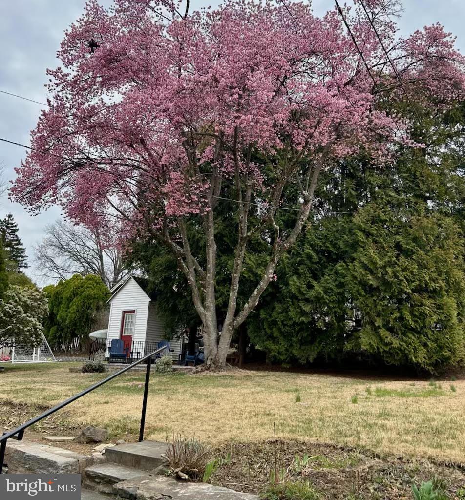 JENKINTOWN - Residential