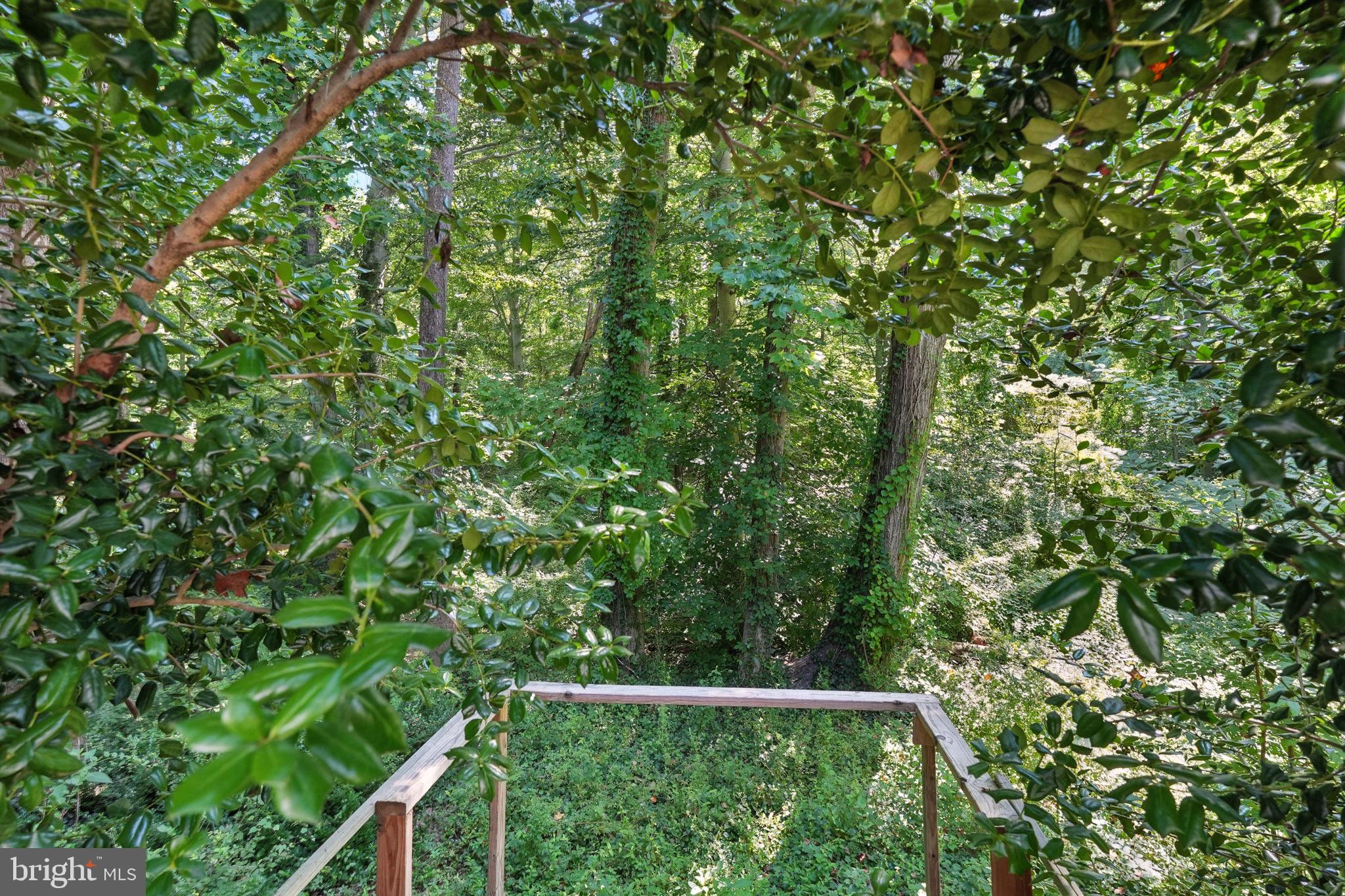 NORTH SPRINGFIELD - Residential