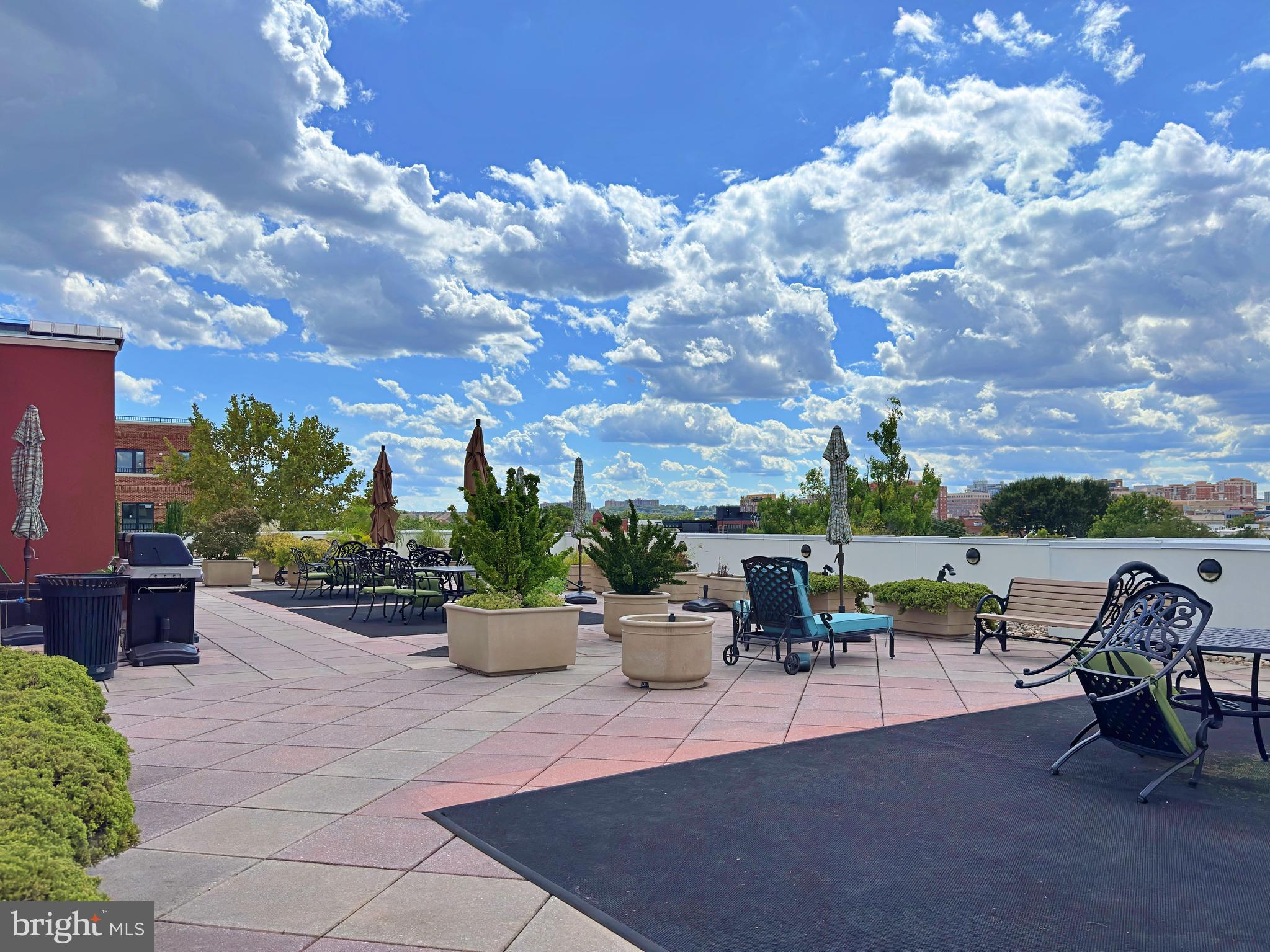 1115 CAMERON STREET 114