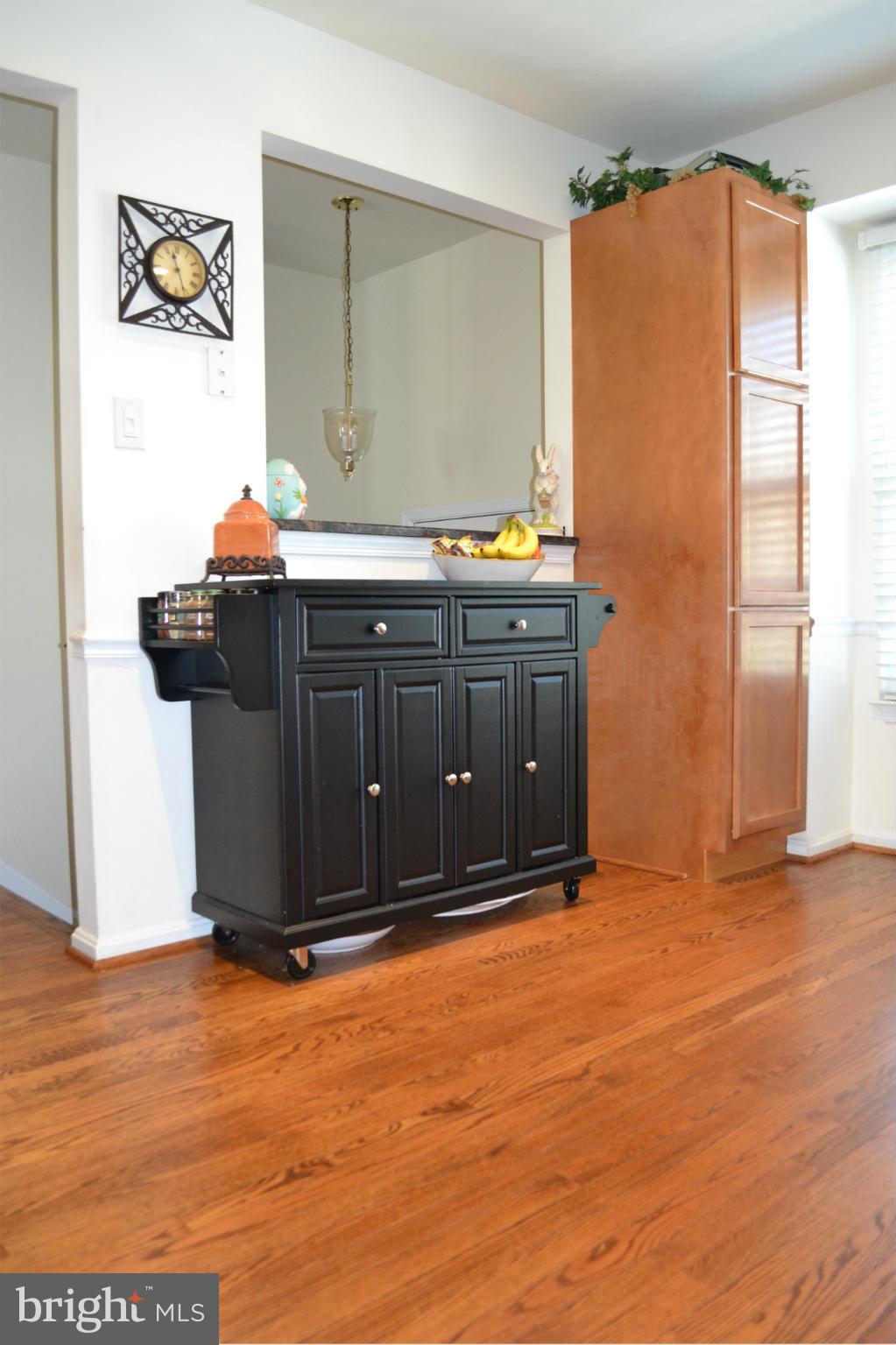 HUNTER VILLAGE - Residential