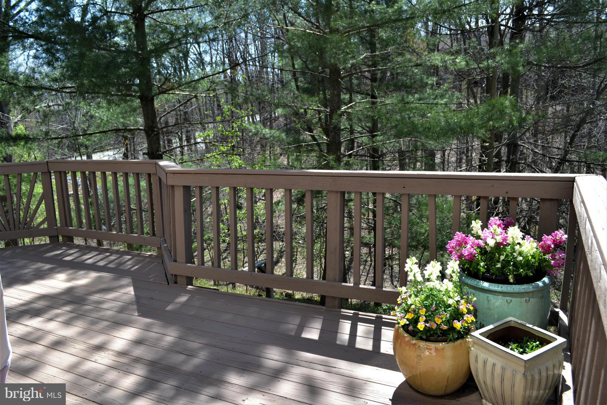 HUNTER VILLAGE - Residential