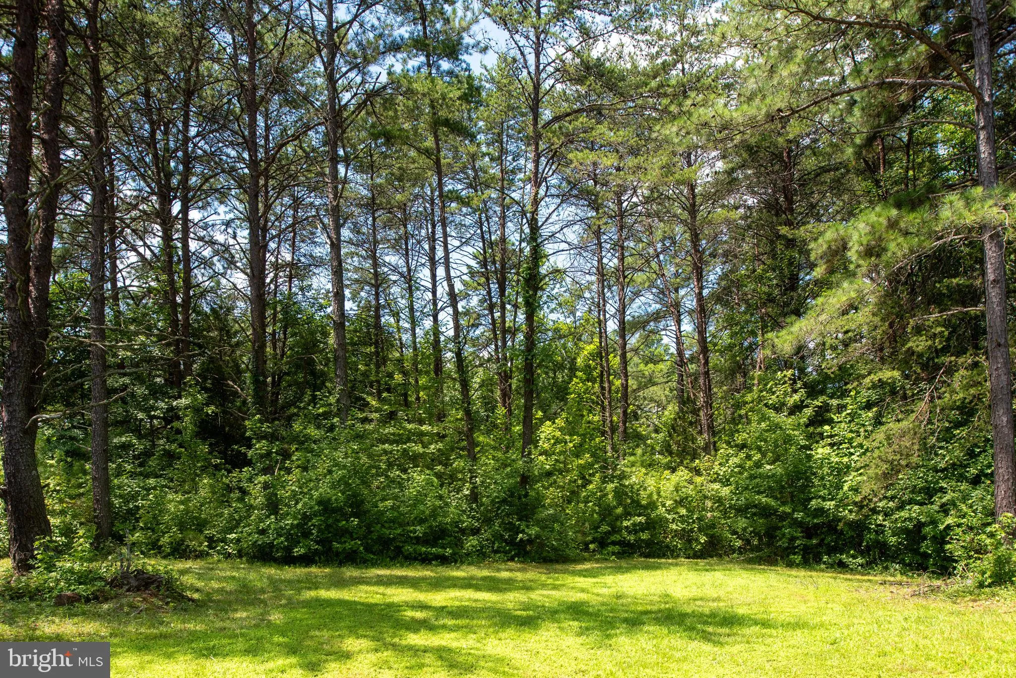 Ruther Glen, Virginia 22546, United States, 3 Bedrooms Bedrooms, ,2 BathroomsBathrooms,Residential,Active,178857