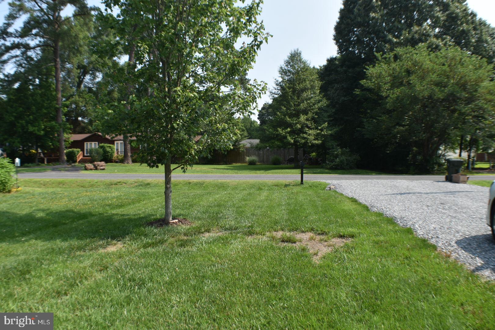 305 CEDAR LANE