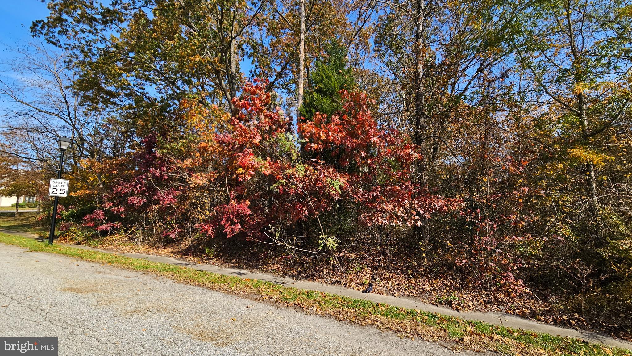 309 CATTAIL PASSAGE COURT