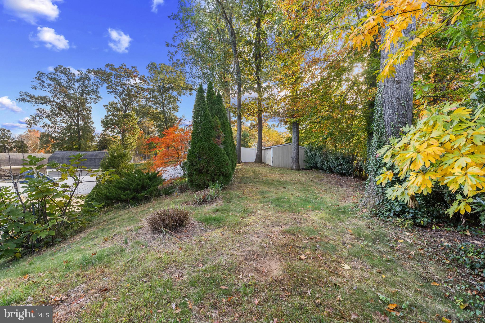 CHAPEL FORGE AT BELAIR - Residential