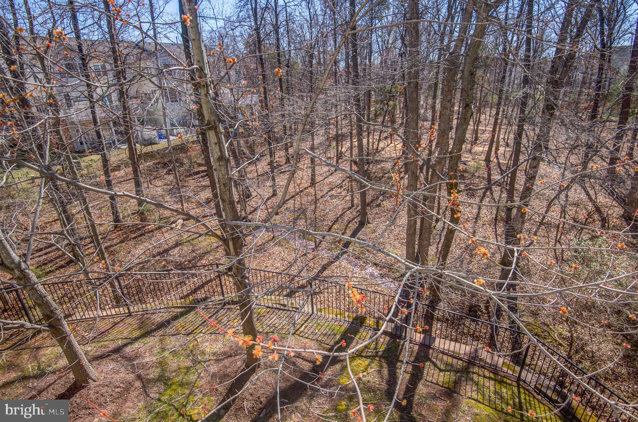 BELMONT COUNTRY CLUB - Residential