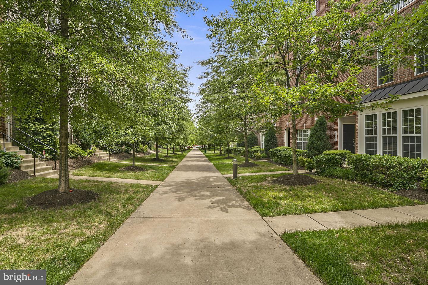 POTOMAC CLUB - Residential Lease