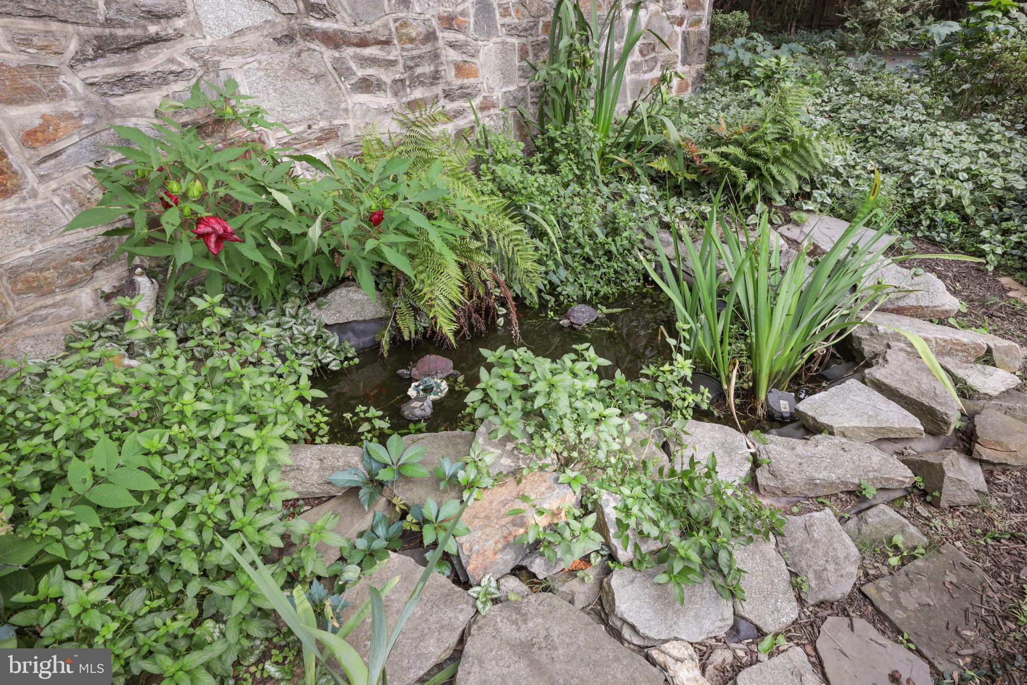 WYNDDON - Residential