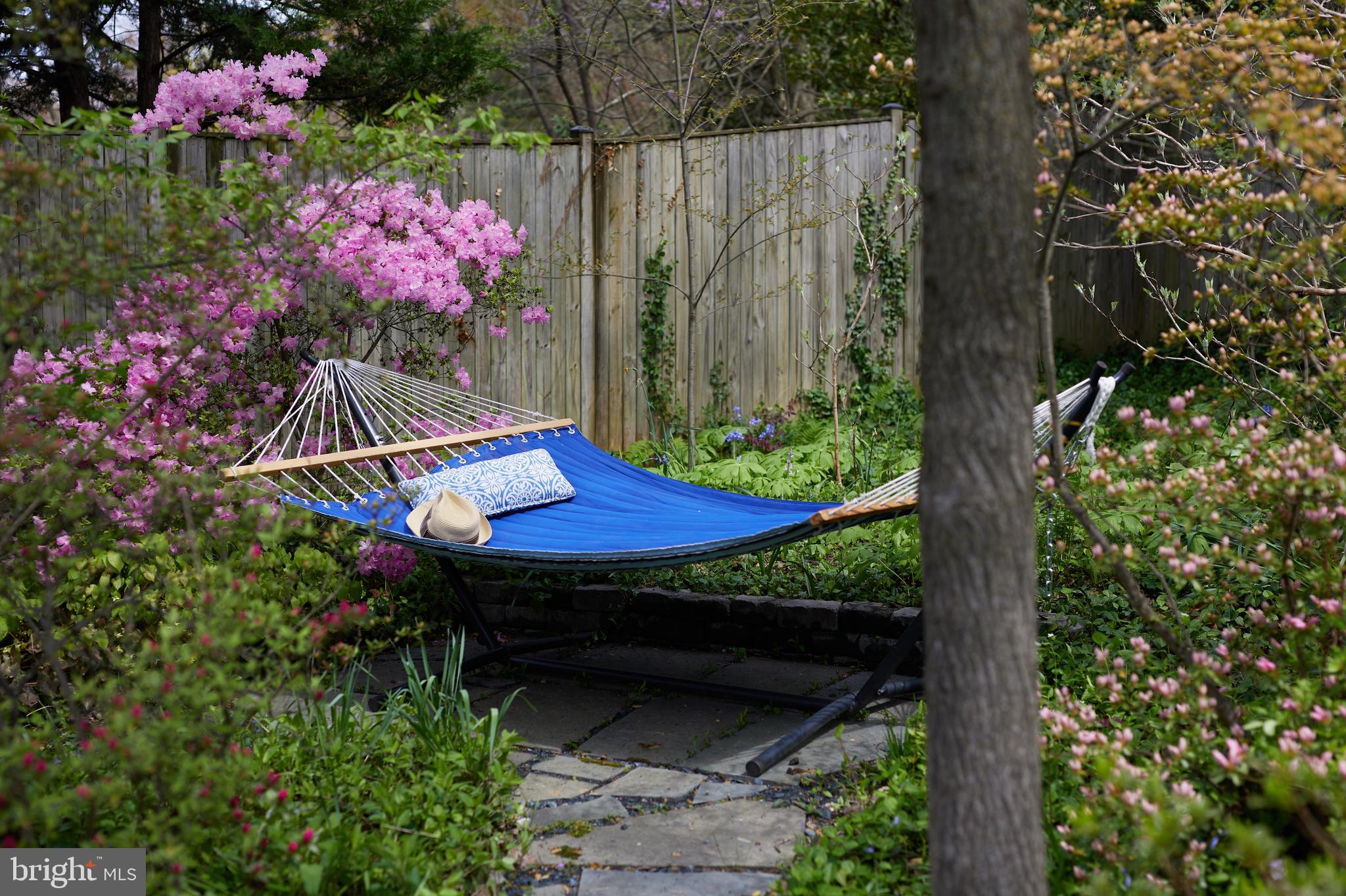 MASS AVE FOREST - Residential