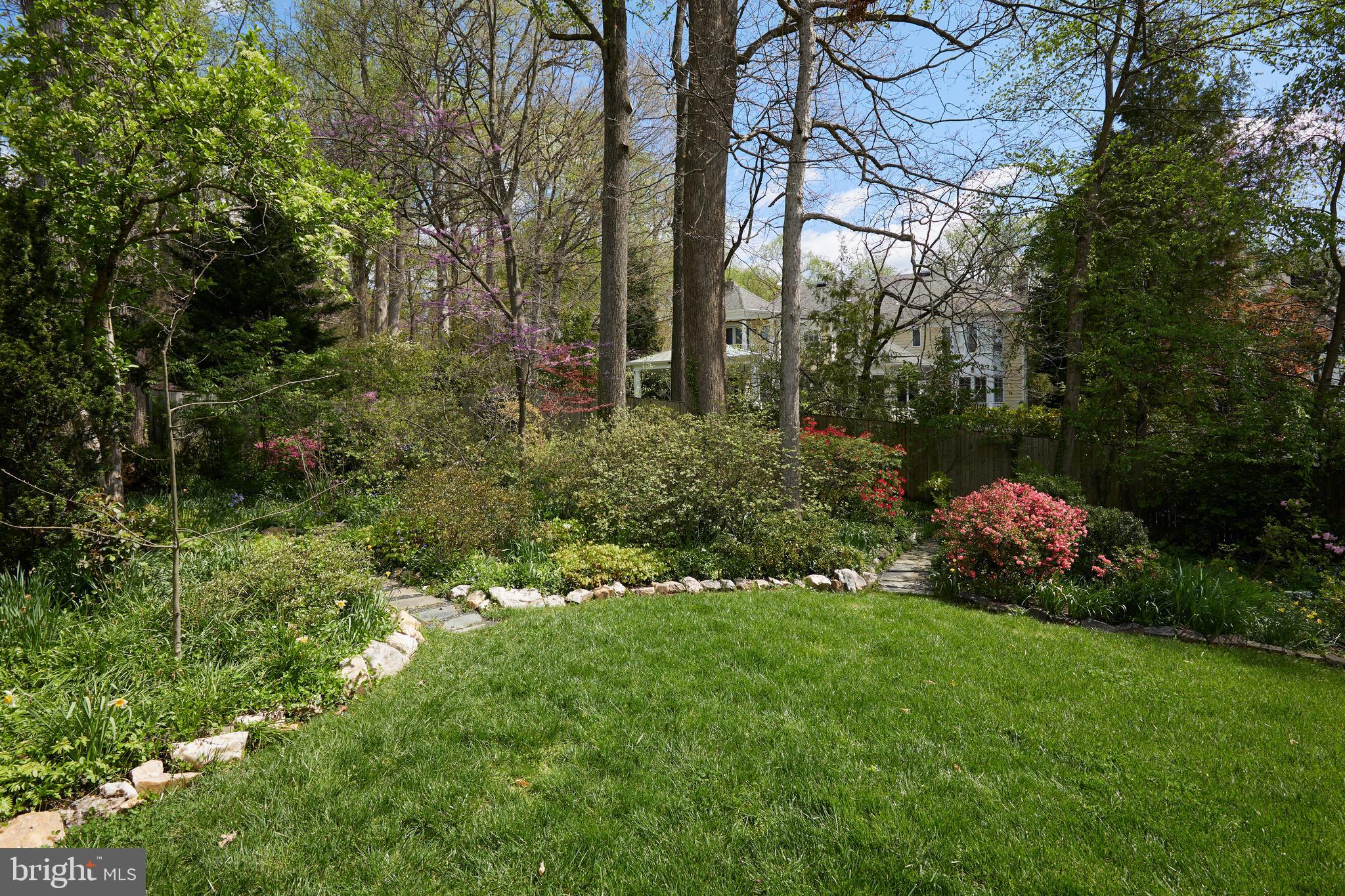 MASS AVE FOREST - Residential