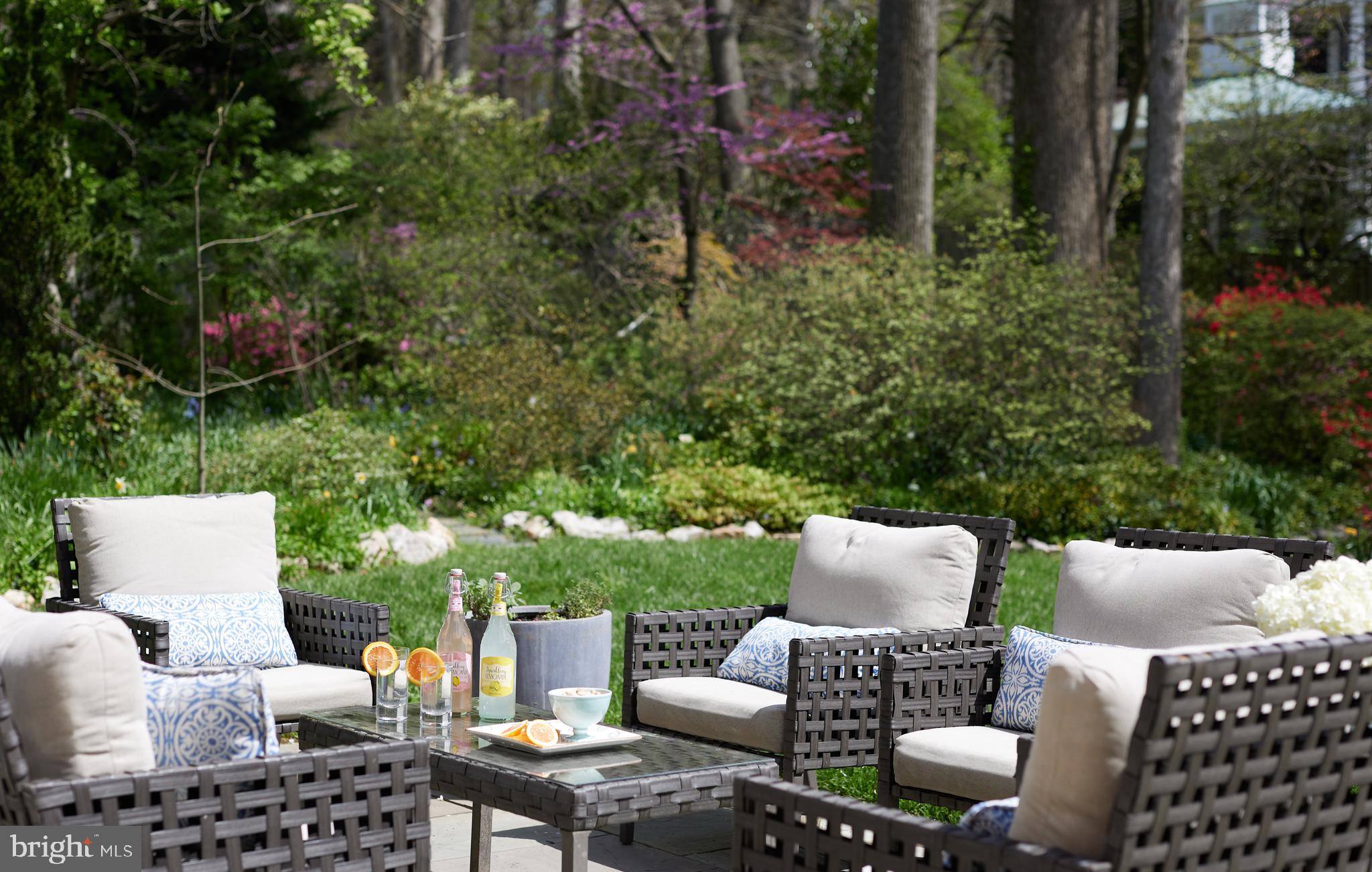 MASS AVE FOREST - Residential