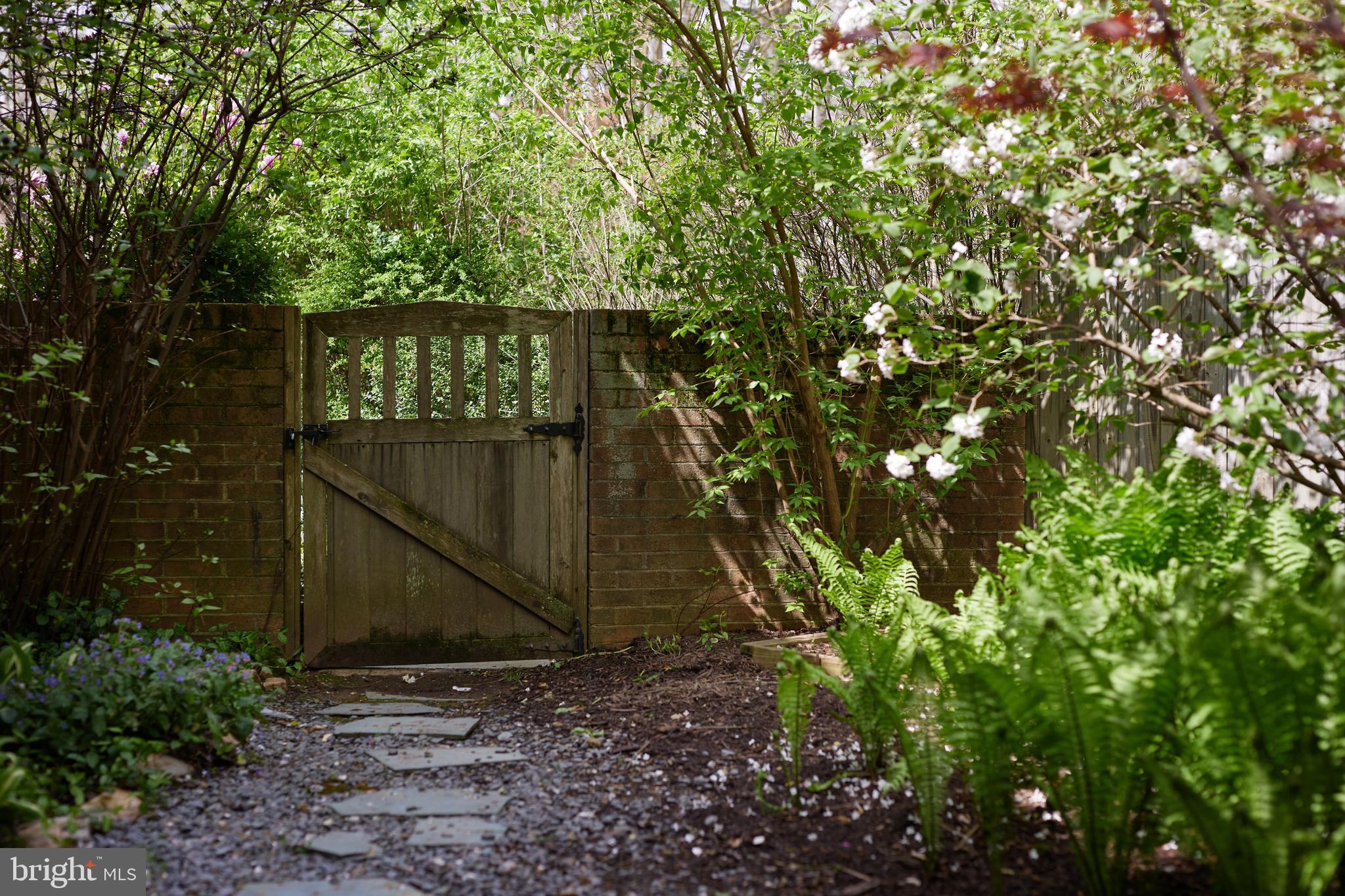 MASS AVE FOREST - Residential
