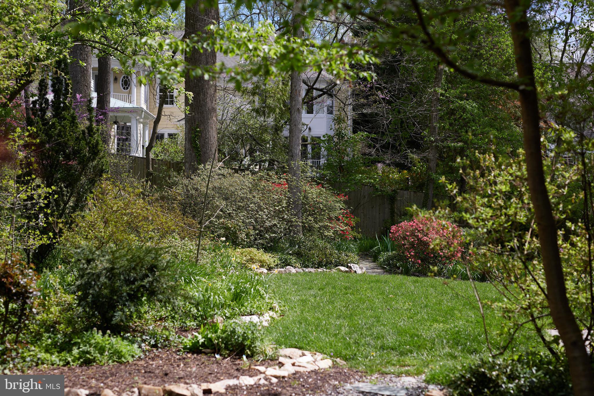 MASS AVE FOREST - Residential