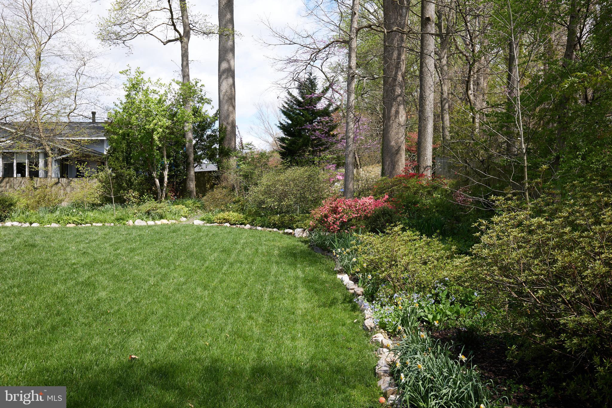 MASS AVE FOREST - Residential