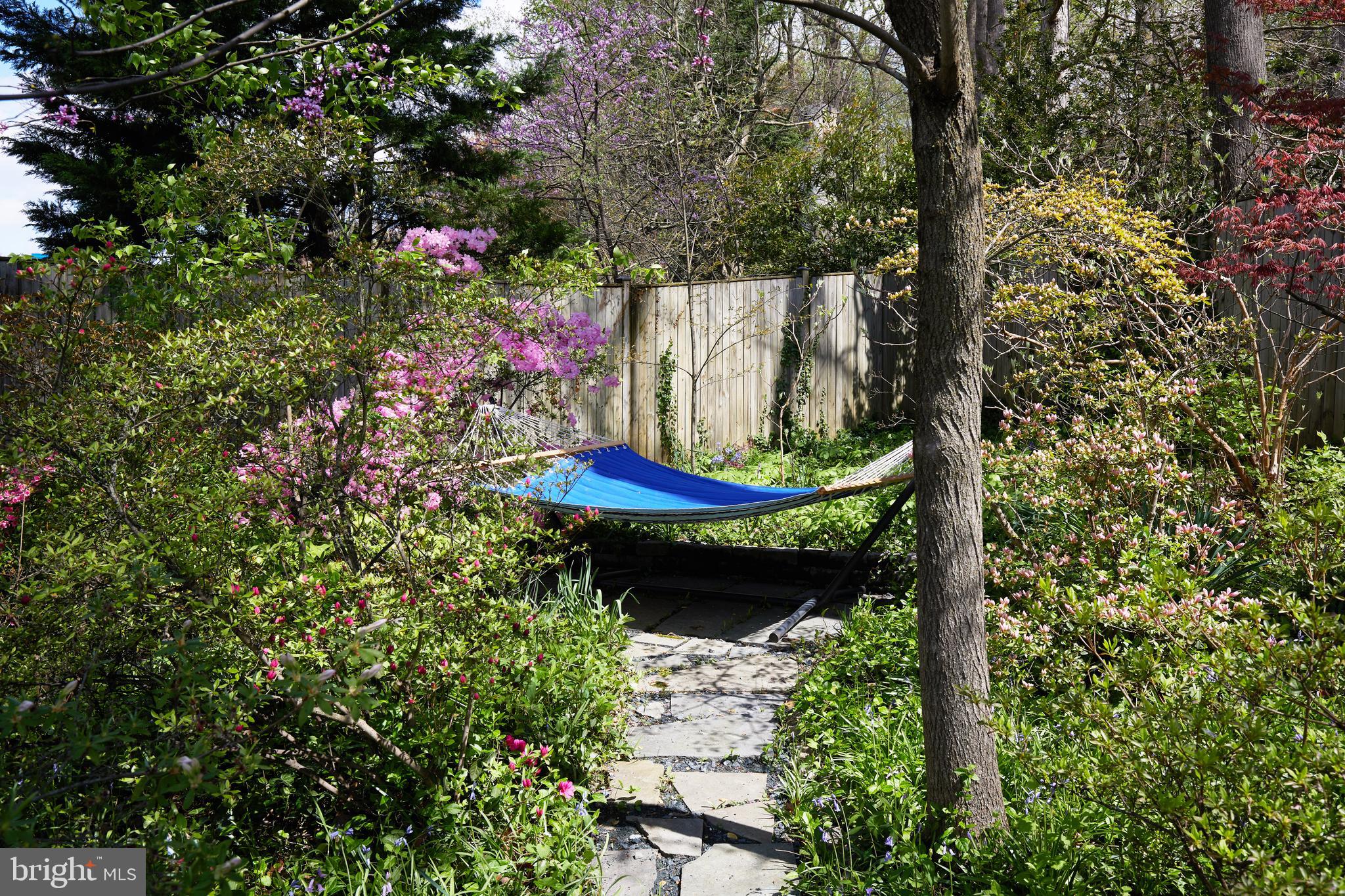 MASS AVE FOREST - Residential