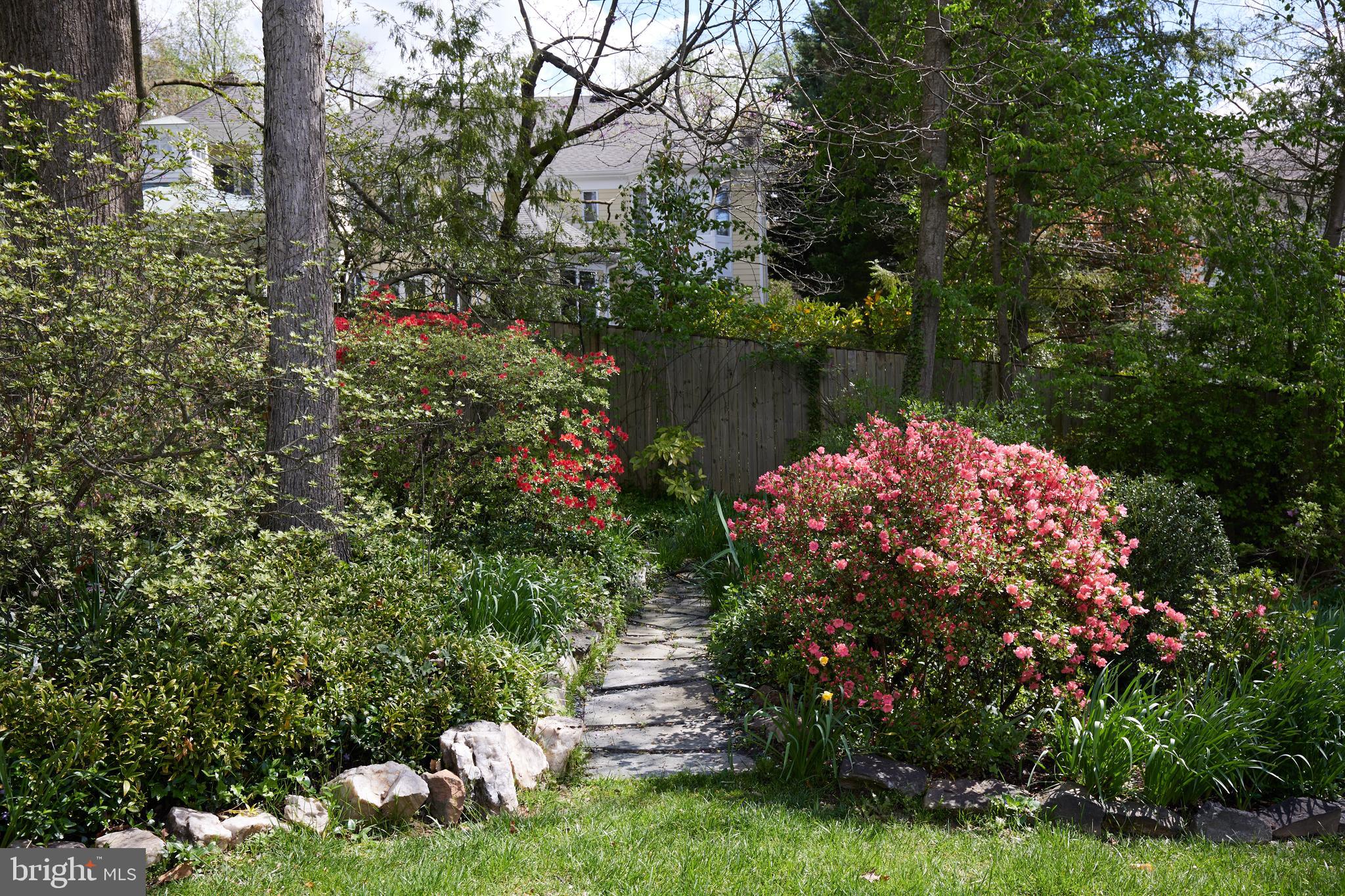 MASS AVE FOREST - Residential