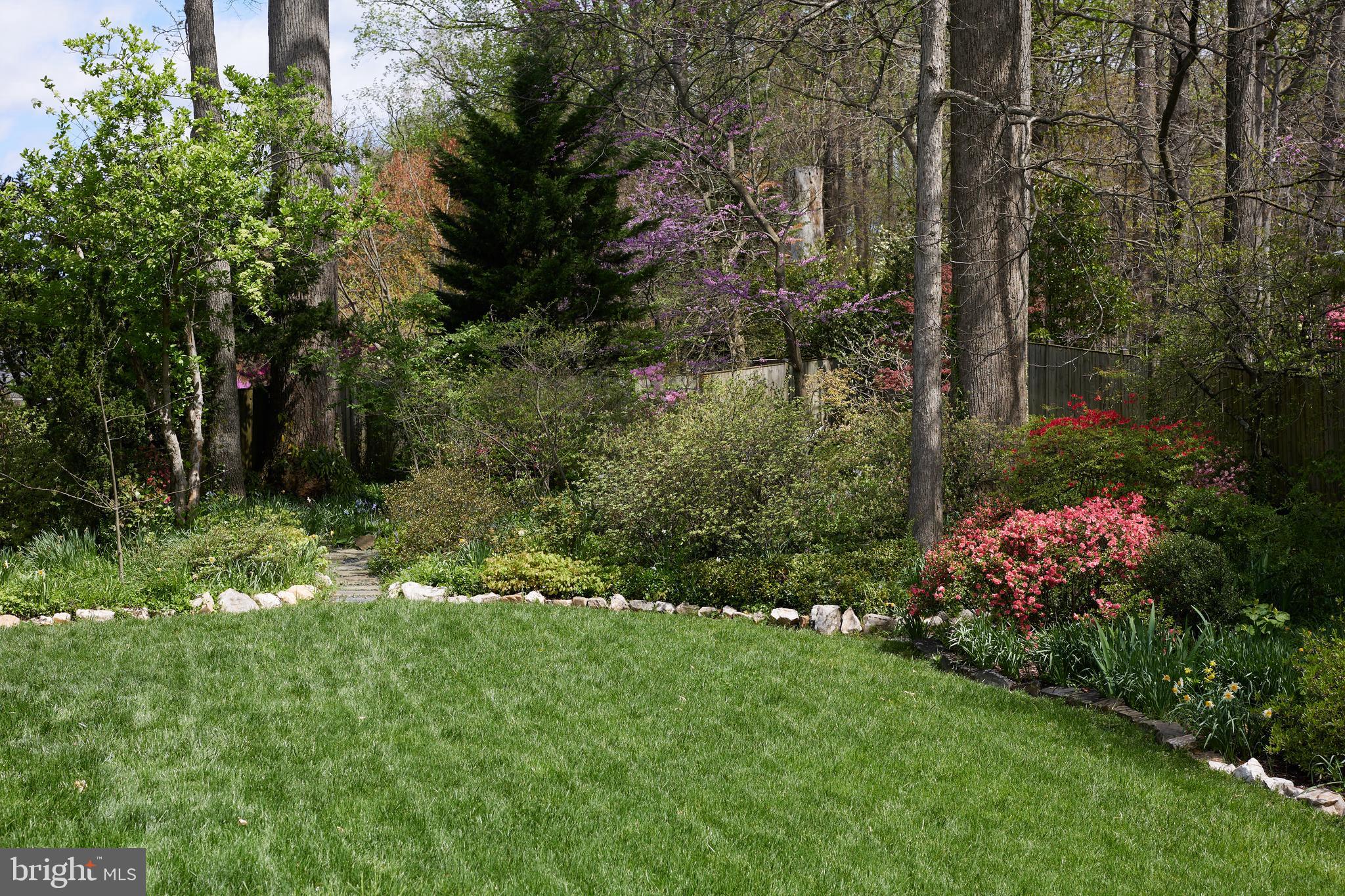 MASS AVE FOREST - Residential