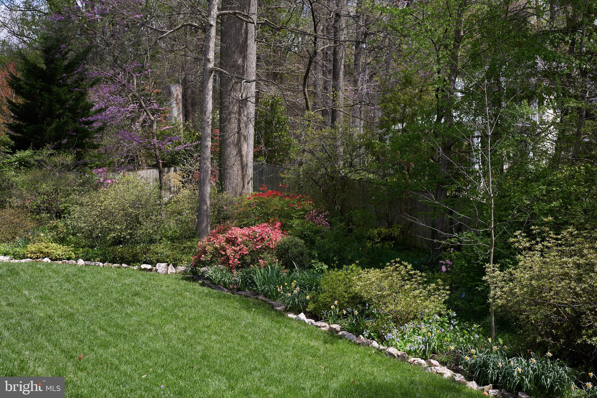 MASS AVE FOREST - Residential