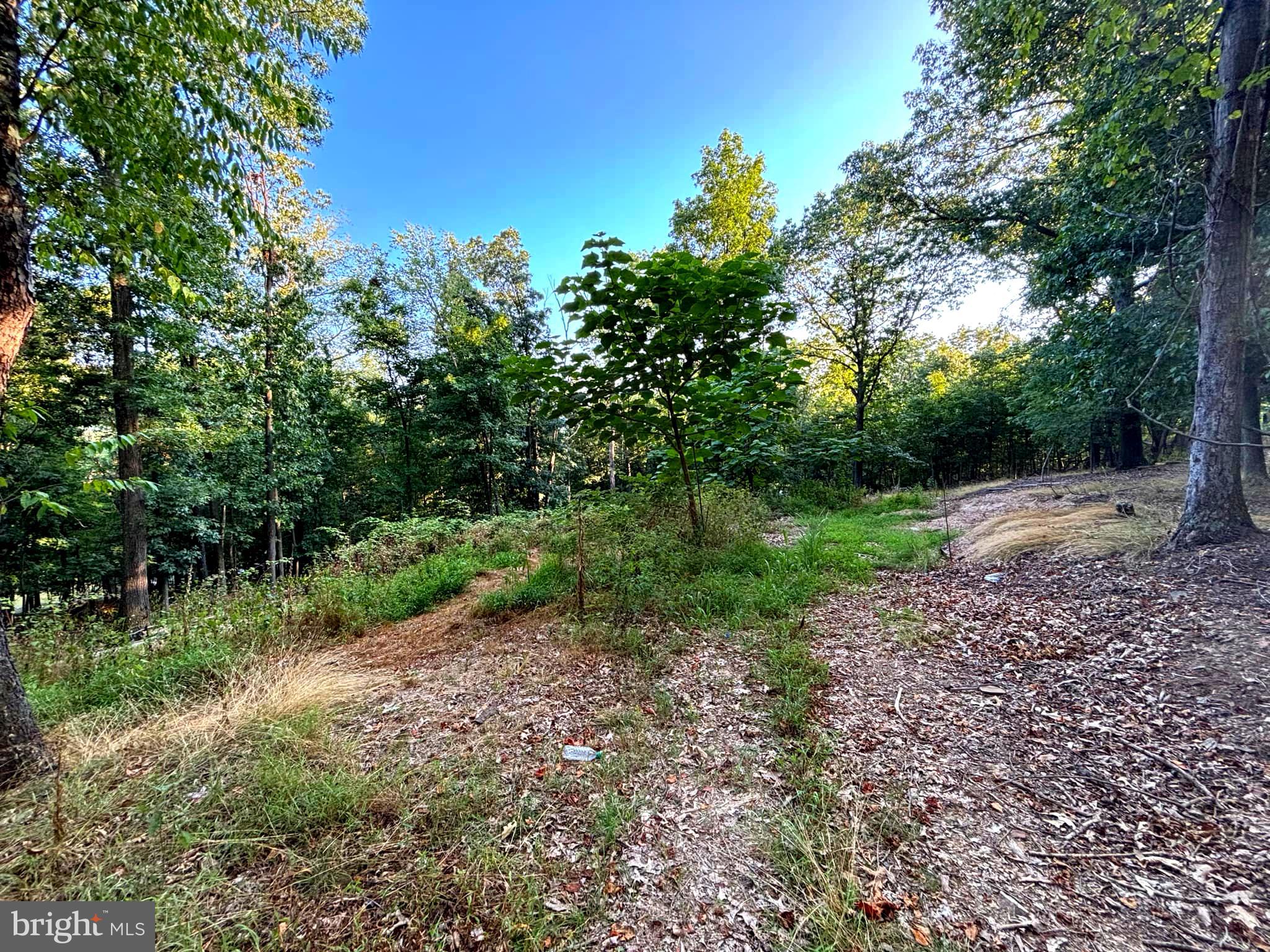 PINEPOINTE SUBDIVISION - Land