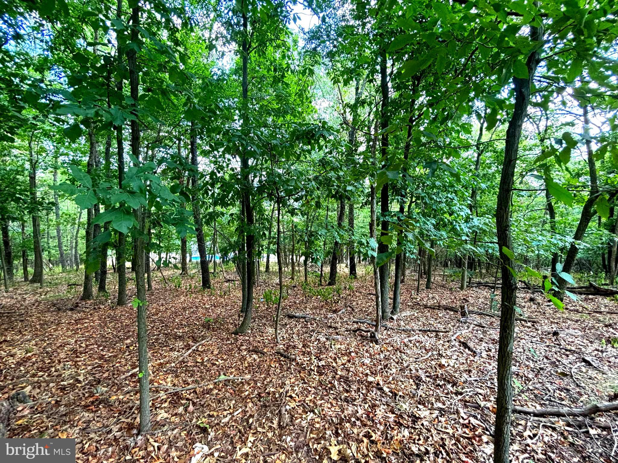 PINEPOINTE SUBDIVISION - Land