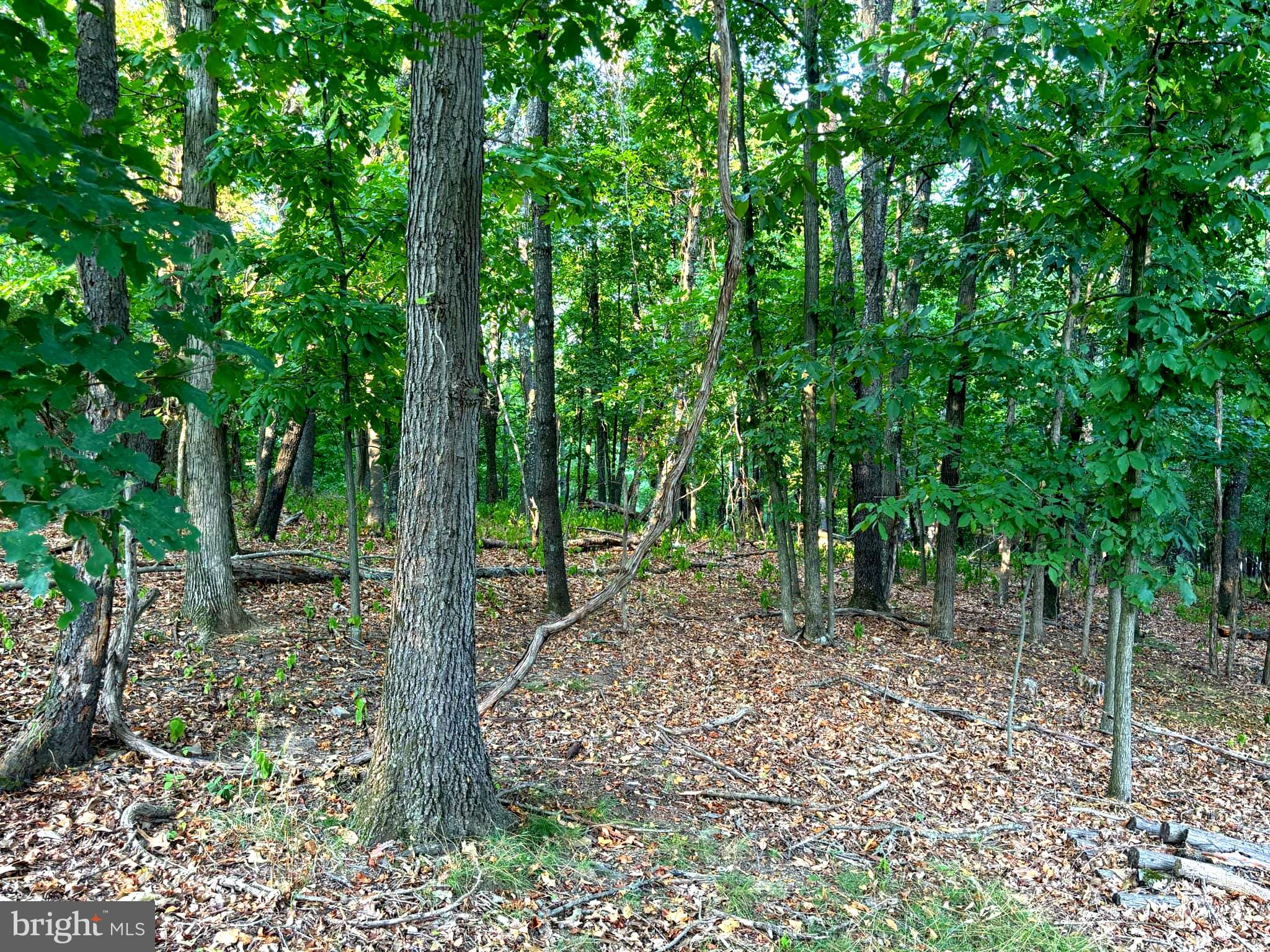 PINEPOINTE SUBDIVISION - Land