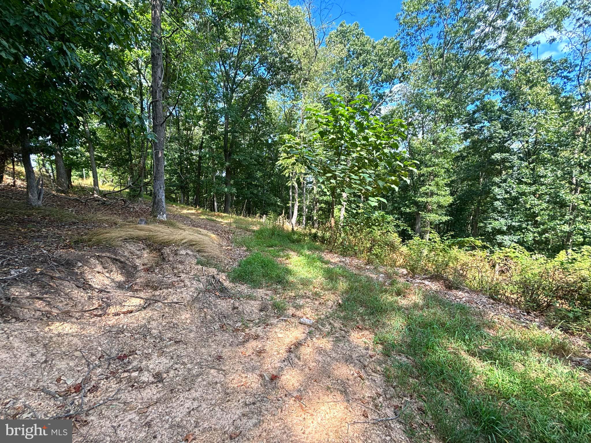 PINEPOINTE SUBDIVISION - Land