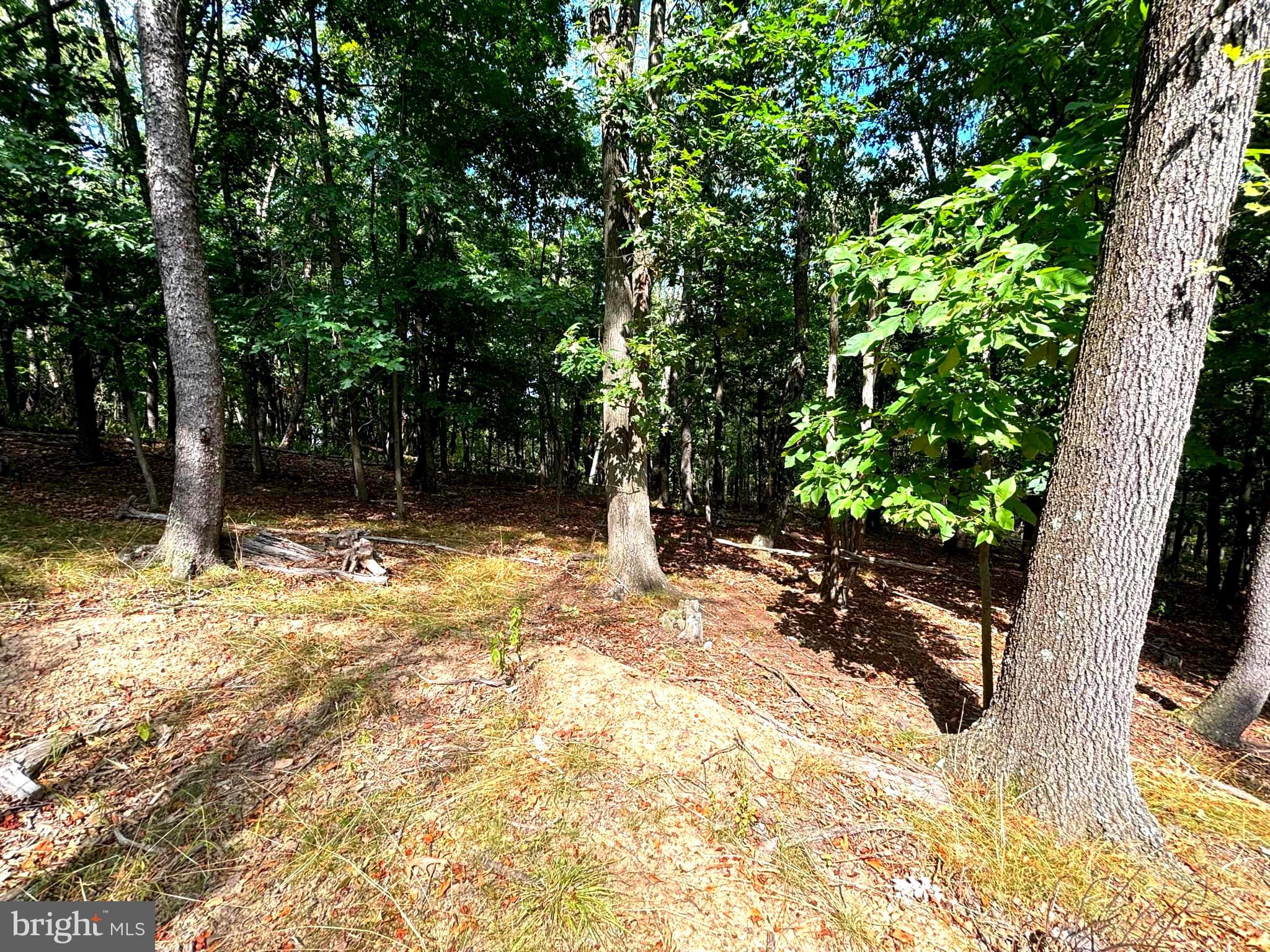 PINEPOINTE SUBDIVISION - Land