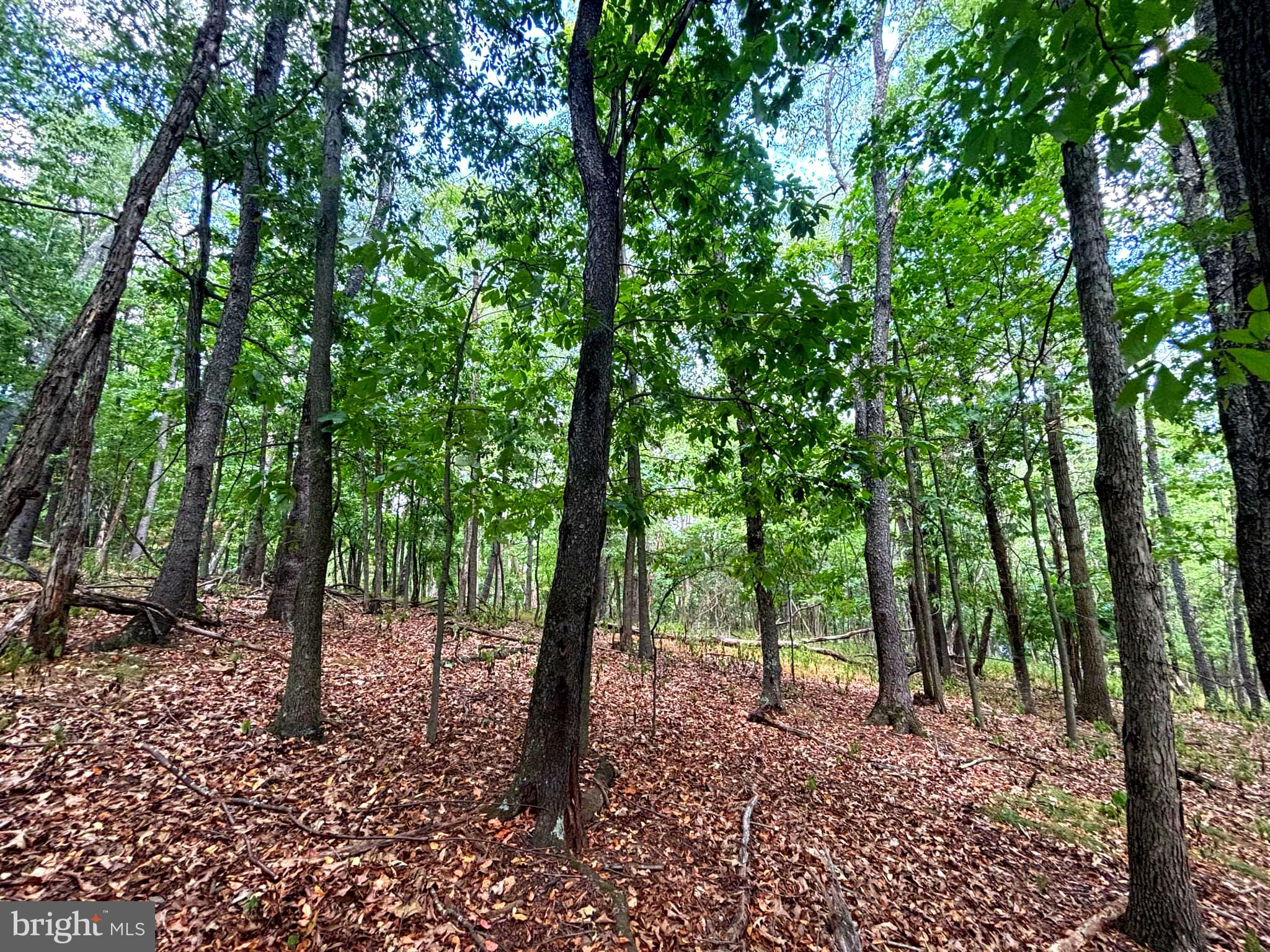 PINEPOINTE SUBDIVISION - Land