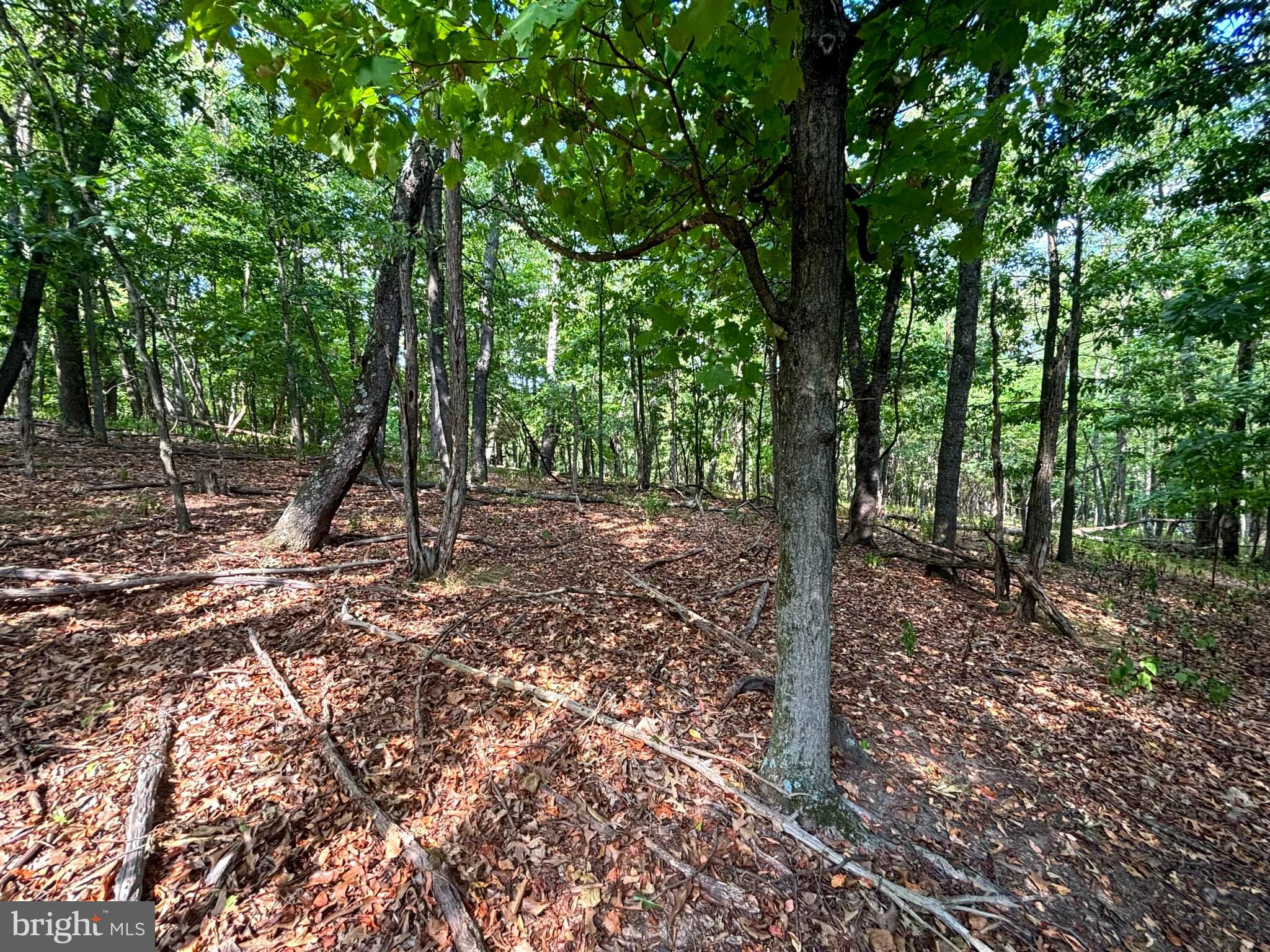 PINEPOINTE SUBDIVISION - Land