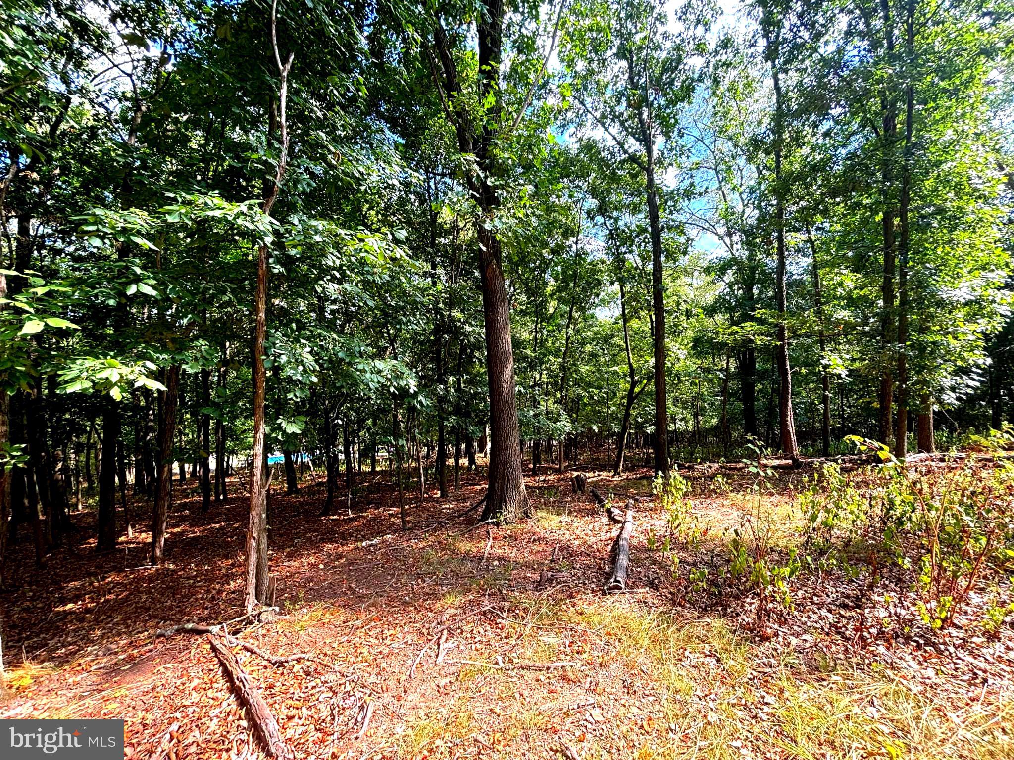 PINEPOINTE SUBDIVISION - Land