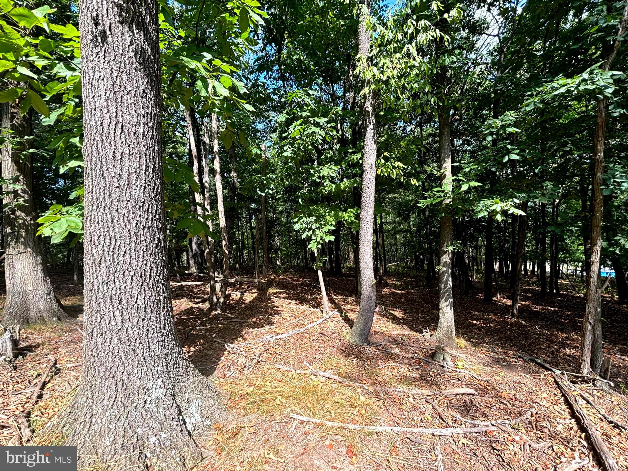 PINEPOINTE SUBDIVISION - Land