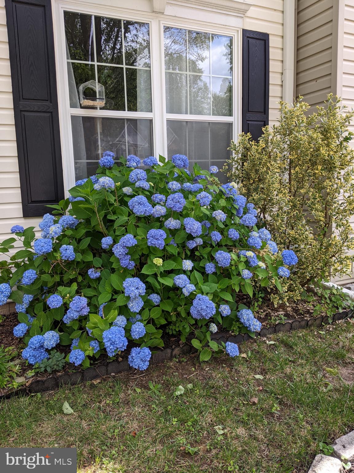 725 SHALLOW RIDGE COURT