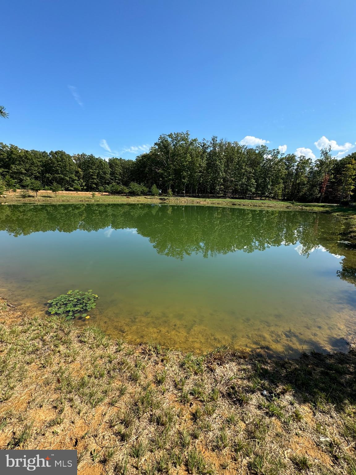 Prime 14.85-Acre Investment & Recreational Retreat – Perfect for Airbnb, Hunting & Fishing
Discover the ultimate investment and outdoor paradise with this 14.85-acre property in Moorefield, WV! Whether you're looking for a profitable business venture, a recreational getaway, or the perfect spot to build your dream home, this property offers endless possibilities.
Key Features:
3 Fully Stocked Ponds – Ideal for a pay-to-fish business or personal enjoyment.
1-Bedroom Cozy Cabin – Perfect as a weekend retreat or potential rental.
Expansive Hunting Land – Large timber and abundant wildlife make this a hunter’s dream.
Mostly Flat & Wooded Terrain – Easy to develop and highly versatile.
Investment & Airbnb Potential:
Looking for a high-income opportunity? This property is a prime location for Airbnb rentals, offering guests a tranquil escape near Moorefield’s outdoor attractions. Imagine charming cabins or tiny homes, drawing in travelers seeking fishing, hunting, and relaxation—all while generating consistent rental income.
Whether you're an investor, outdoorsman, or someone seeking a peaceful retreat, this rare gem in Wild & Wonderful West Virginia is ready to fulfill your vision.
📍 Don’t let this opportunity slip away! Contact me today to schedule a private tour.