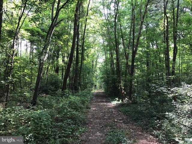 NONE AVAILABLE - Land