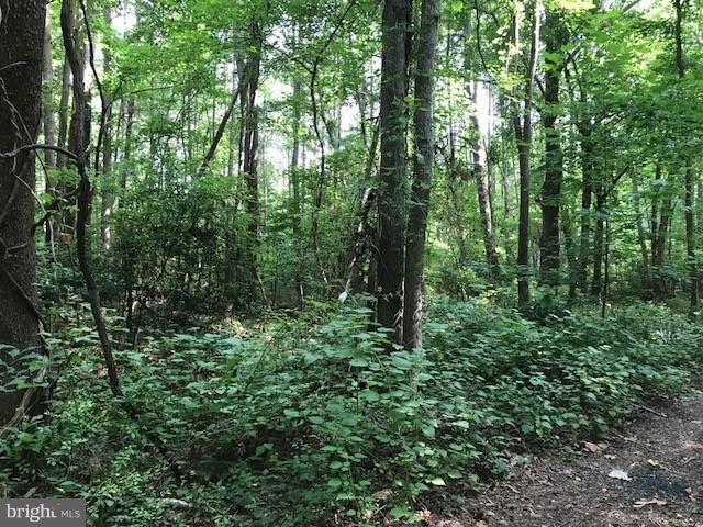 NONE AVAILABLE - Land