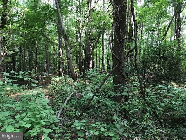 NONE AVAILABLE - Land